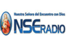 NSE Radio 91.3 FM
